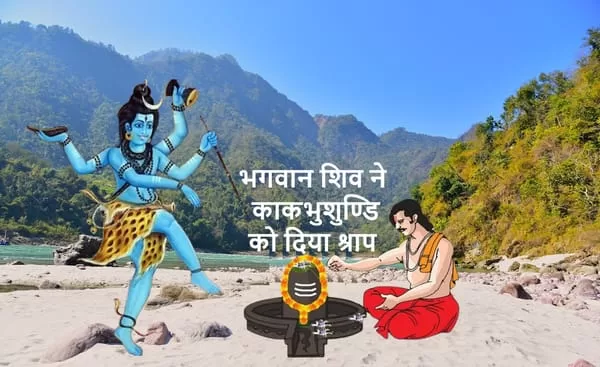 Kakabhushundi / काकभुशुण्डि - मैं दुष्ट, नीच जाति और पापमयी मलिन बुद्धि वाला मोहवश श्री हरि के भक्तों और द्विजों को देखते ही जल उठता और विष्णु भगवान्‌ से द्रोह करता था।